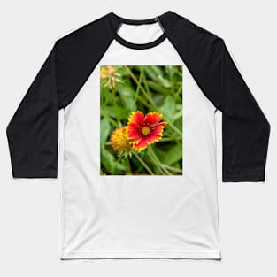 Red Flower with Yellow Petals Among Greenery Baseball T-Shirt